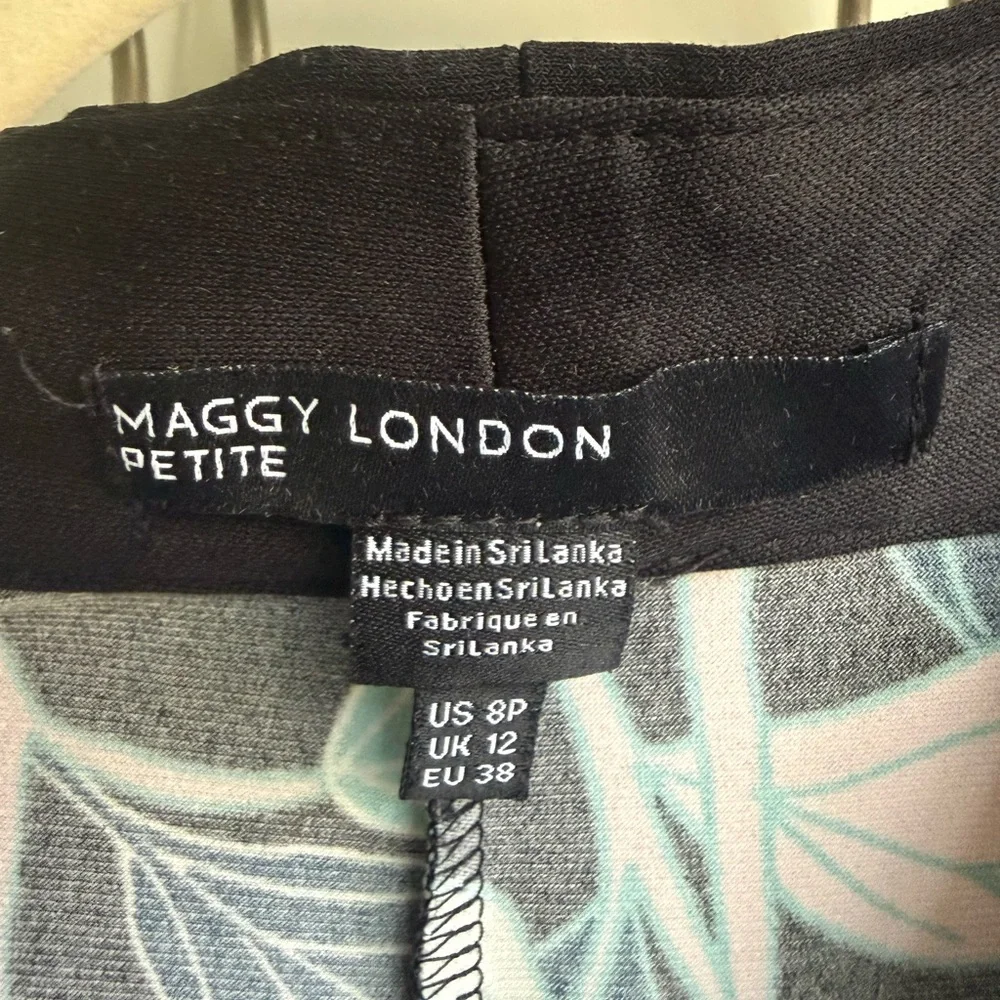 Maggy London Petite Dress with Black and Teal Accents - Picture 2 of 8